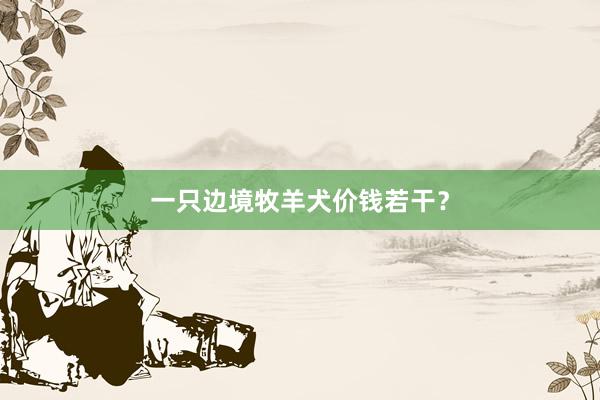 一只边境牧羊犬价钱若干？