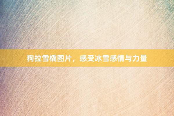 狗拉雪橇图片,感受冰雪感情与力量